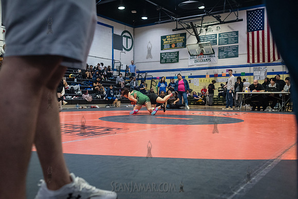 PSAL Girls Individual Championships - Harry S Truman HS - NYC -