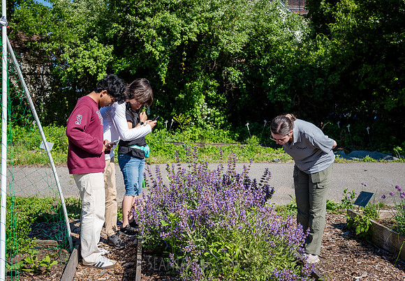 CPF Learn - The Bee Conservancy Intern Event - Liberty Learning