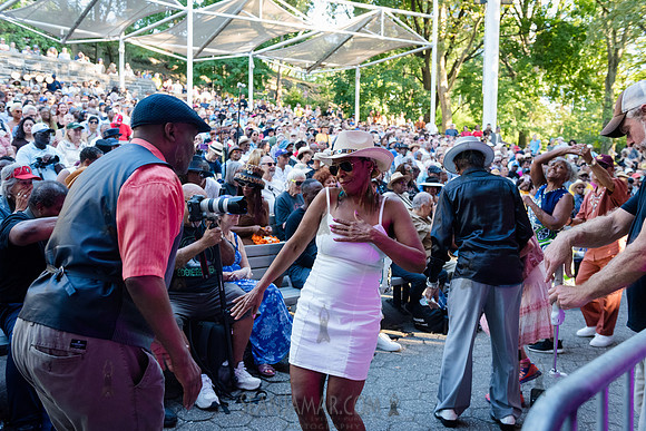 NYC SummerStage - Charlie Parker Jazz Festival - Branford Marsal