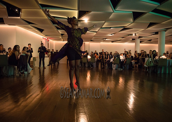 Zimele USA 6th Annual Gala - Maritime Parc - Jersey City NJ - 2017