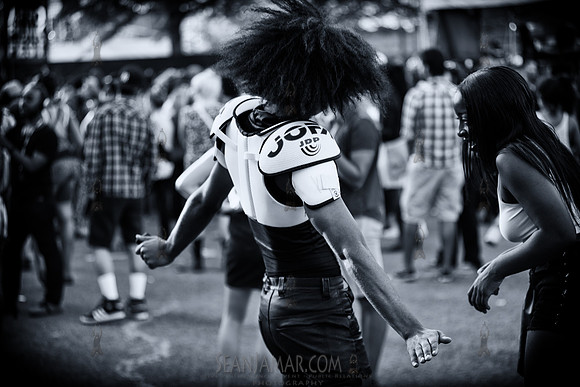 Afropunk Festival - Commodore Barry Park - BK USA - 2013