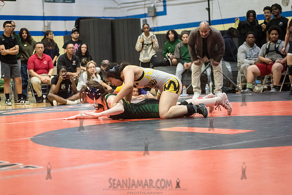 PSAL Girls Individual Championships - Harry S Truman HS - NYC -