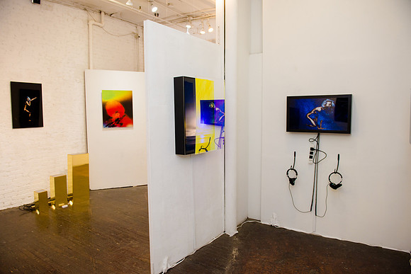 Allison Harrell Panel Shots - Ward Nasse Gallery - NYC - 2017