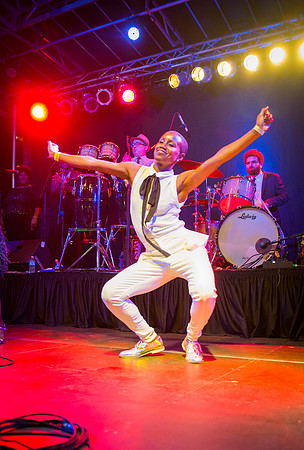 Sharon Jones & the Dap Kings - Afropunk Festival - Commodore Barry Park - BK USA - 2014