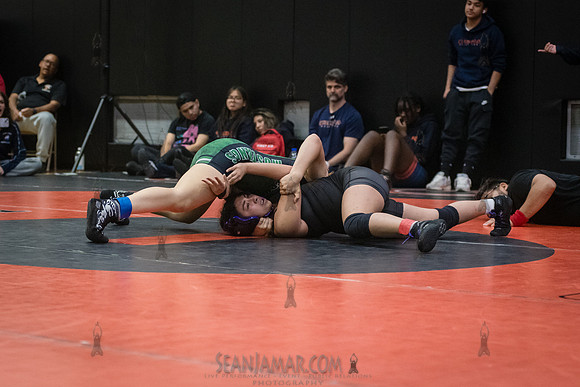 PSAL Girls Individual Championships - Harry S Truman HS - NYC -