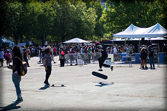 Afropunk Festival - Commodore Barry Park - BK USA - 2013