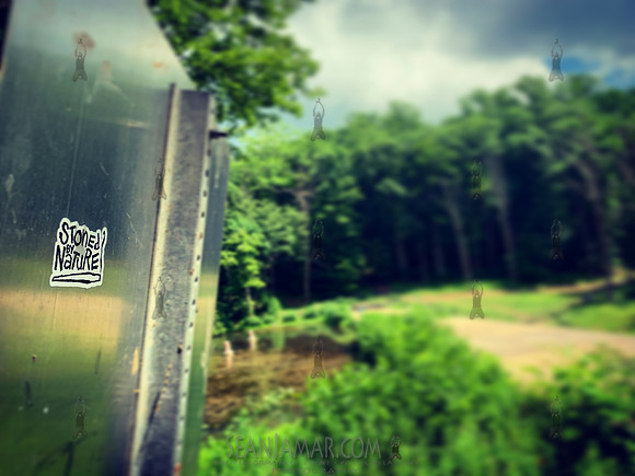 Watchung Reservation
