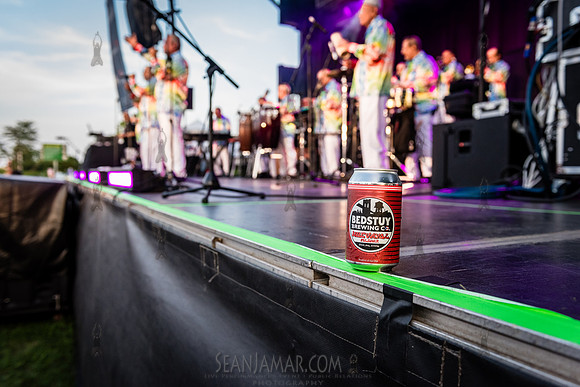 NYC SummerStage - La Sonora Poncena - Stapleton Waterfront Park
