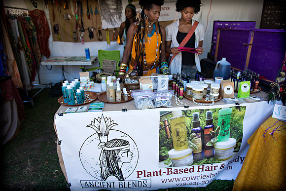 Afropunk Festival - Commodore Barry Park - BK USA - 2013