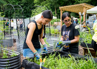 NYC Green Fund - Van Cortlandt Park Alliance Intern Training - V