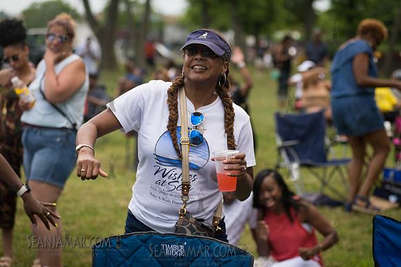 2019-07-06 NYC SummerStage - Ralph McDaniels Soul and Funk Jam - Springfield Park - NYC-60.jpg