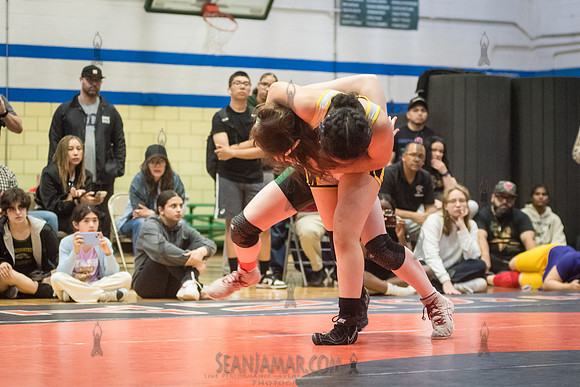 PSAL Girls Individual Championships - Harry S Truman HS - NYC -