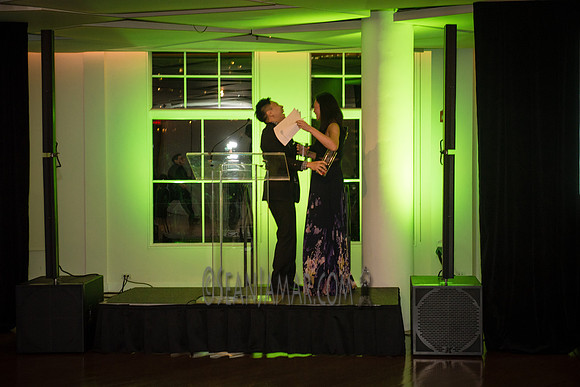 Zimele USA 6th Annual Gala - Maritime Parc - Jersey City NJ - 2017