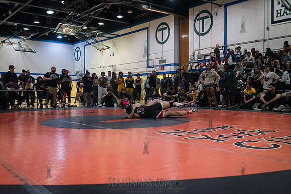 PSAL Girls Individual Championships - Harry S Truman HS - NYC -