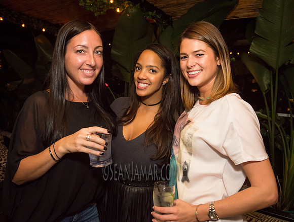 Media IQ - Quarterly Meeting - NYC - 2016