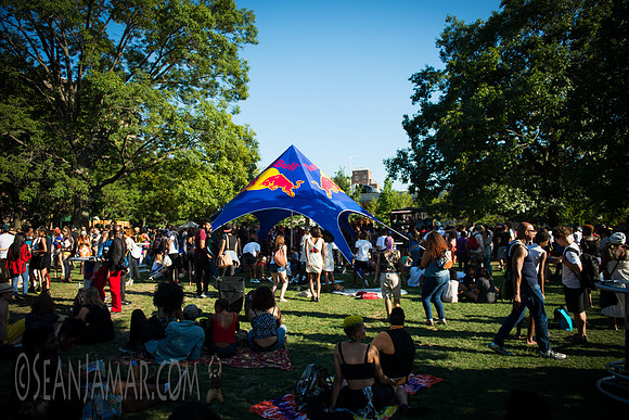 Afropunk Festival - Commodore Barry Park - BK USA - 2014