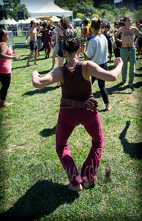 Afropunk Festival - Commodore Barry Park - BK USA - 2013