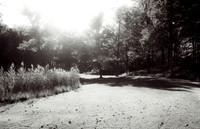 Adventure Day - Storm King Art Center - New Windsor NY - 2015