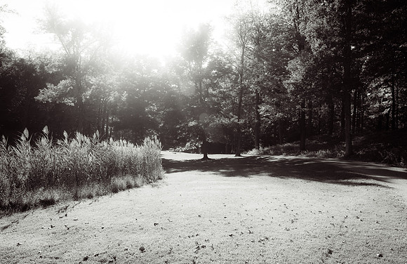 Adventure Day - Storm King Art Center - New Windsor NY - 2015