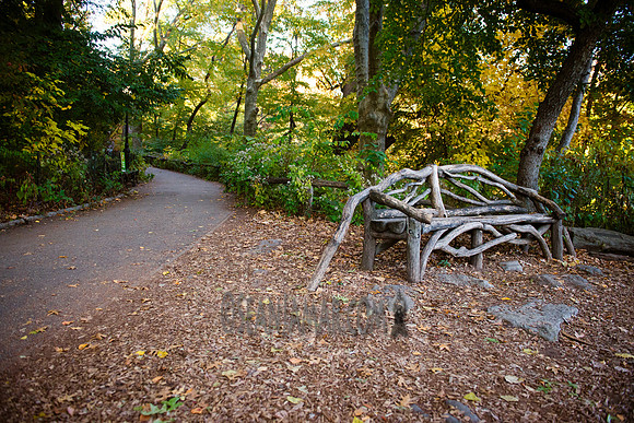 Adventure Day - Central Park - NYC - 2016