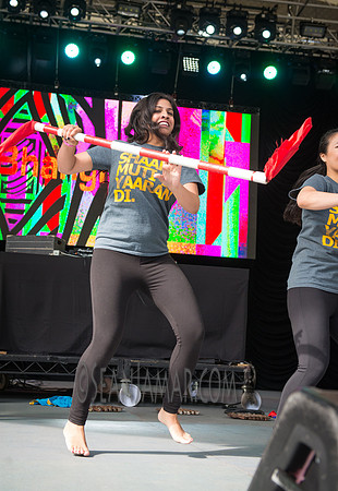 SMD Bhangra - Basement Bhangra 20th Anniversary - Central Park - NYC - 2017