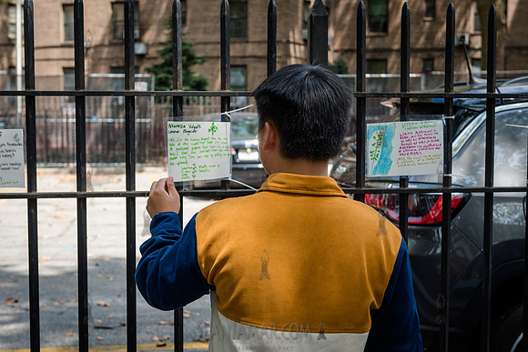 CPF Learn - Eco Innovators Summer Symposium - Queensbridge Park