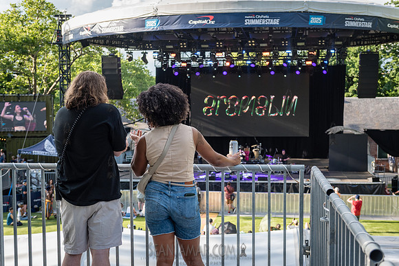 NYC SummerStage - Rhianon Giddens - Rumsey Playfield - NYC - 202