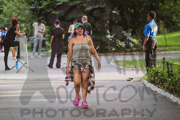 CPF SummerStage - Caifanes + Cafe Tacvba - Rumsey Playfield - NY