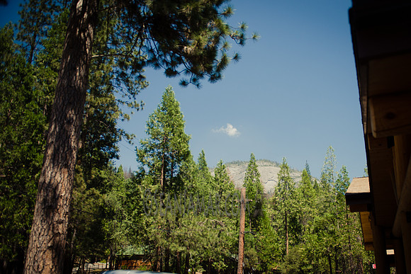 Adventure Day - Yosemite National Park - Wawona CA - 2017