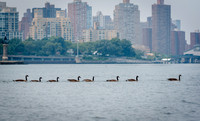 CPF Learn - Coastal Classroom - Hallets Cove - NYC - 2025