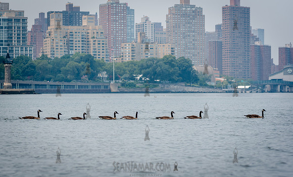 CPF Learn - Coastal Classroom - Hallets Cove - NYC - 2025
