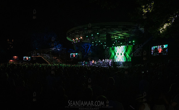 Issac Delgado - NYC SummerStage - Celia Cruz Celebration - Rumse