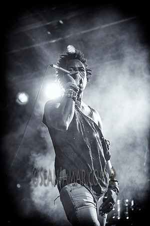 Saul Williams - Afropunk Festival - Commodore Barry Park - BK US