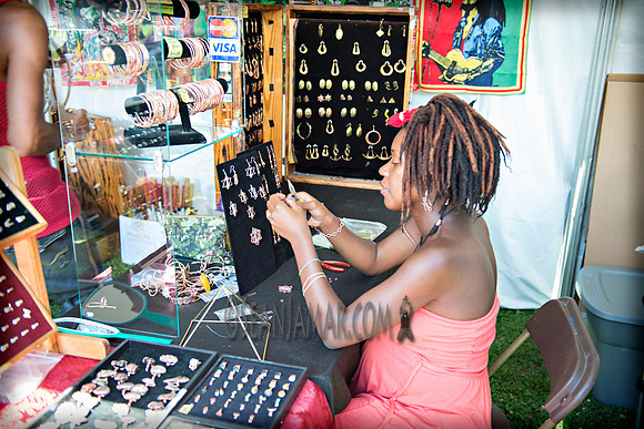 Afropunk Festival - Commodore Barry Park - BK USA - 2013