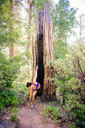 Adventure Day - Chilnualna Falls Hike - Yosemite National Park - Wawona CA - 2017