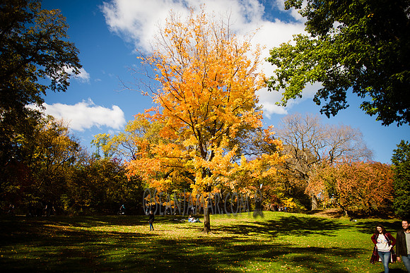 Adventure Day - Central Park - NYC - 2016
