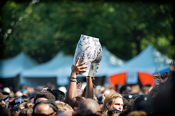Afropunk Festival - Commodore Barry Park - BK USA - 2013