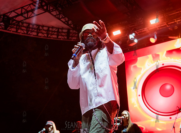 Morgan Heritage + Tarrus Riley - CPF SummerStage - VP Recprds 45