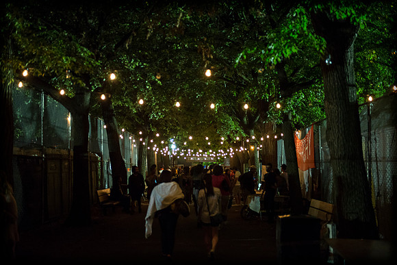 Afropunk Festival - Commodore Barry Park - BK USA - 2013