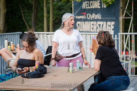 NYC SummerStage - Rhianon Giddens - Rumsey Playfield - NYC - 202