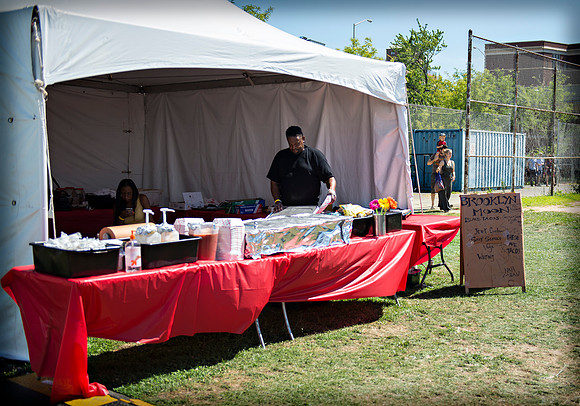 Afropunk Festival - Commodore Barry Park - BK USA - 2013