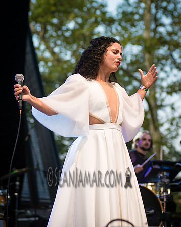 Emel Mathlouth - Rumsey Playfield - NYC - 2017