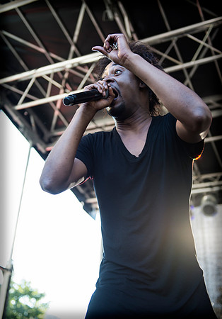 Danny Brown - Afropunk Festival - Commodore Barry Park - BK USA