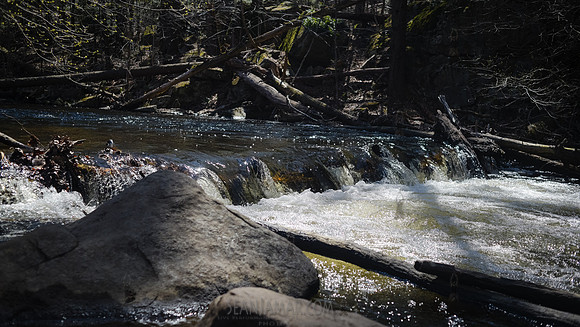 Adventure Day - Hacklebarney State Park - Chester NJ - 2021