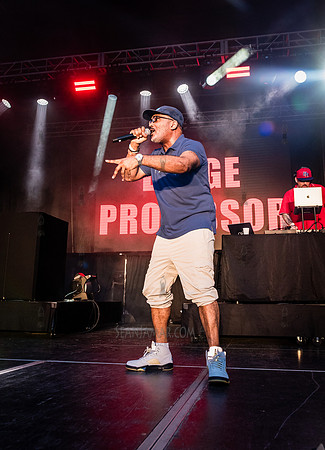 Large Professor - NYC SummerStage - Fat Beats 30th Anniversary -