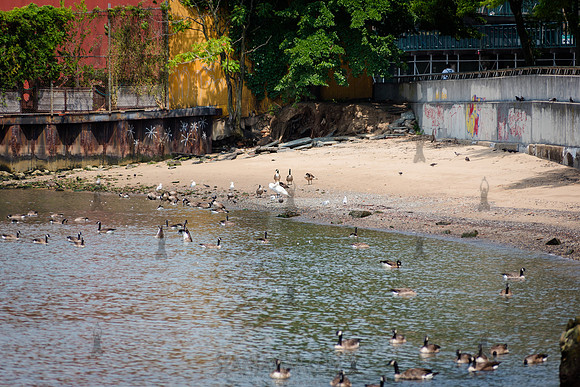 CPF Learn - Coastal Classroom - Hallets Cove - NYC - 2024