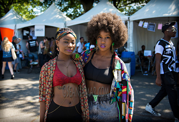 Afropunk Festival - Commodore Barry Park - BK USA - 2013