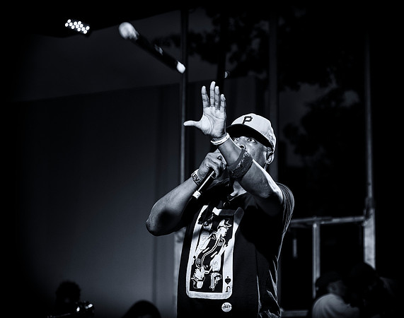 Chuck D - Afropunk Festival - Commodore Barry Park - BK USA - 20