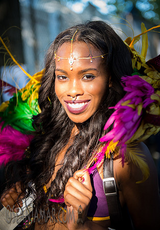 Afropunk Festival - Commodore Barry Park - BK USA - 2014