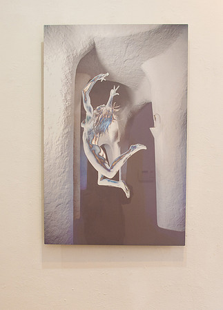 Allison Harrell Panel Shots - Ward Nasse Gallery - NYC - 2017